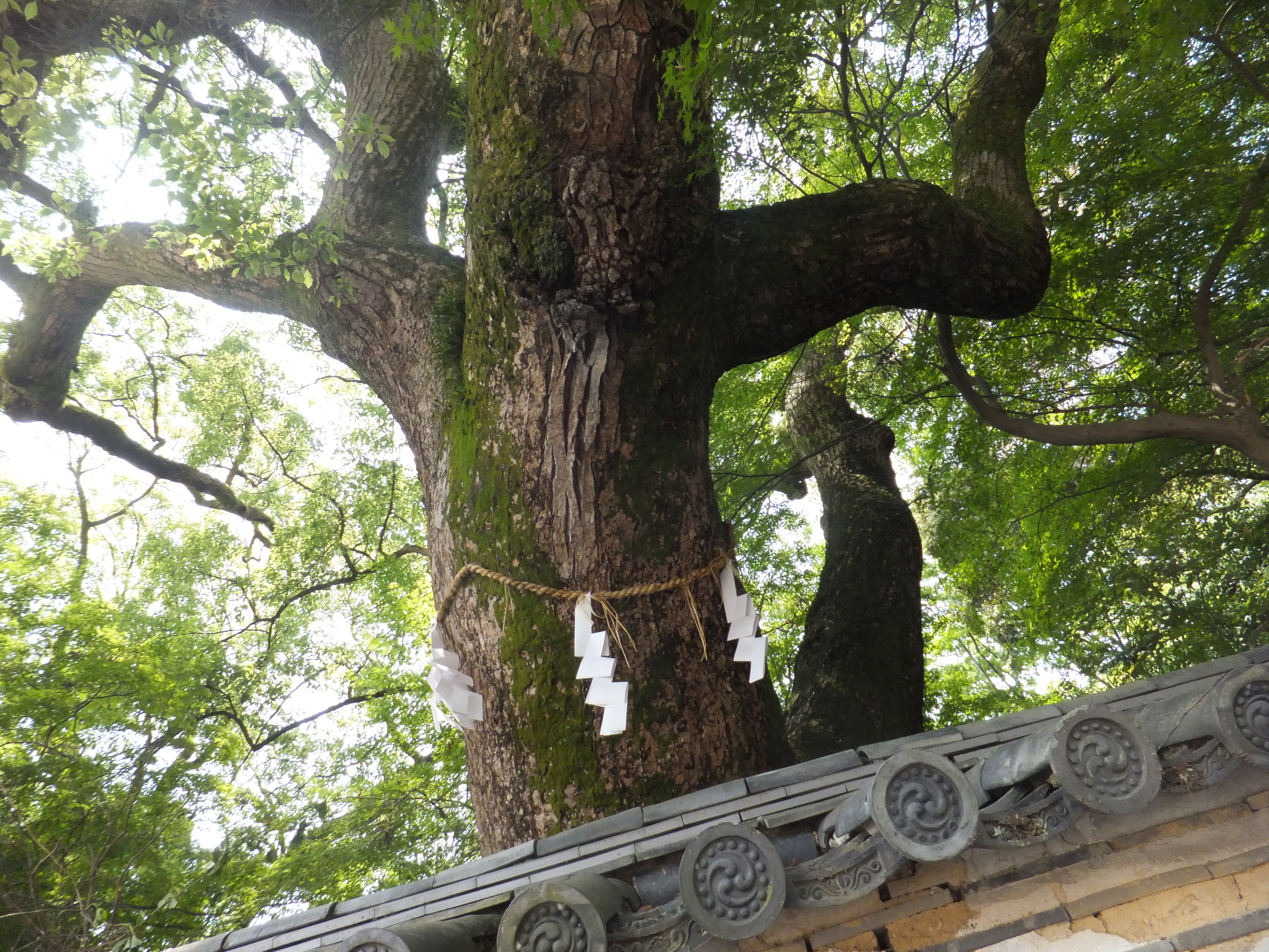八幡神社中門