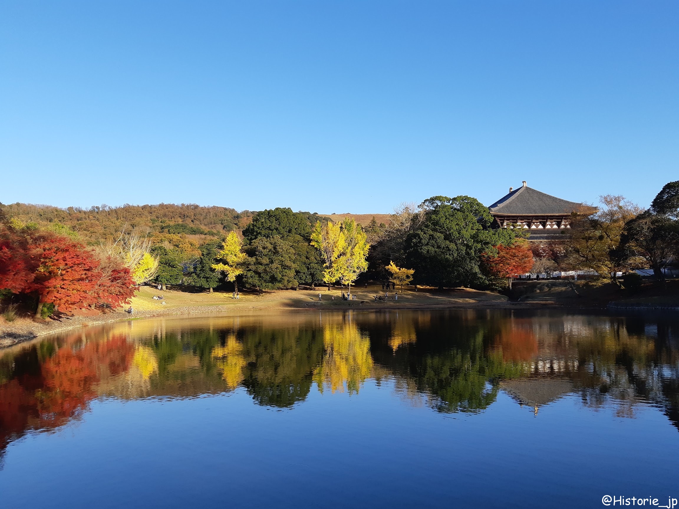 大仏殿を眺望できる大仏池(奈良県景観資産)