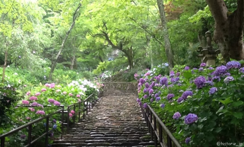 [奈良・桜井] 初瀬の長谷寺（はせでら）は花のお寺・紫陽花がきれい・10種類約3000株
