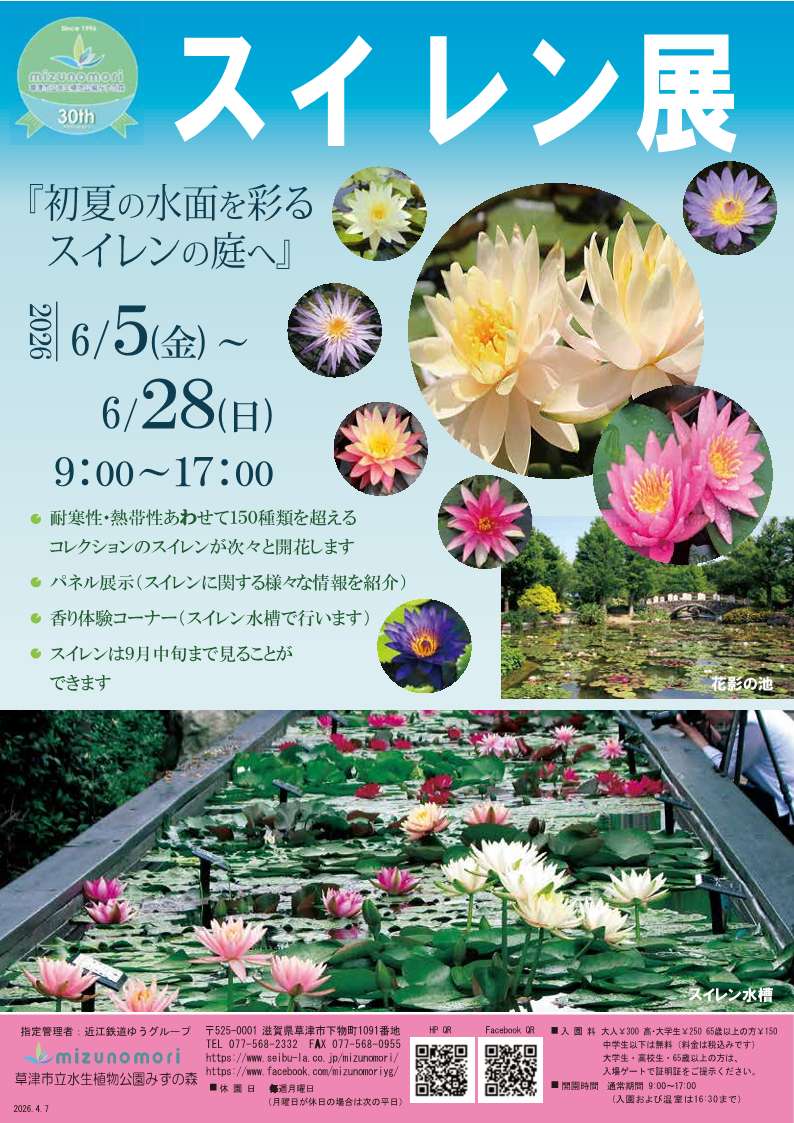 [スイレン展・スイレンの庭]6月5日（金）～6月28日（日）迄開催・耐寒性・熱帯性あわせ150種を超えるコレクションのスイレンが次々に開花。