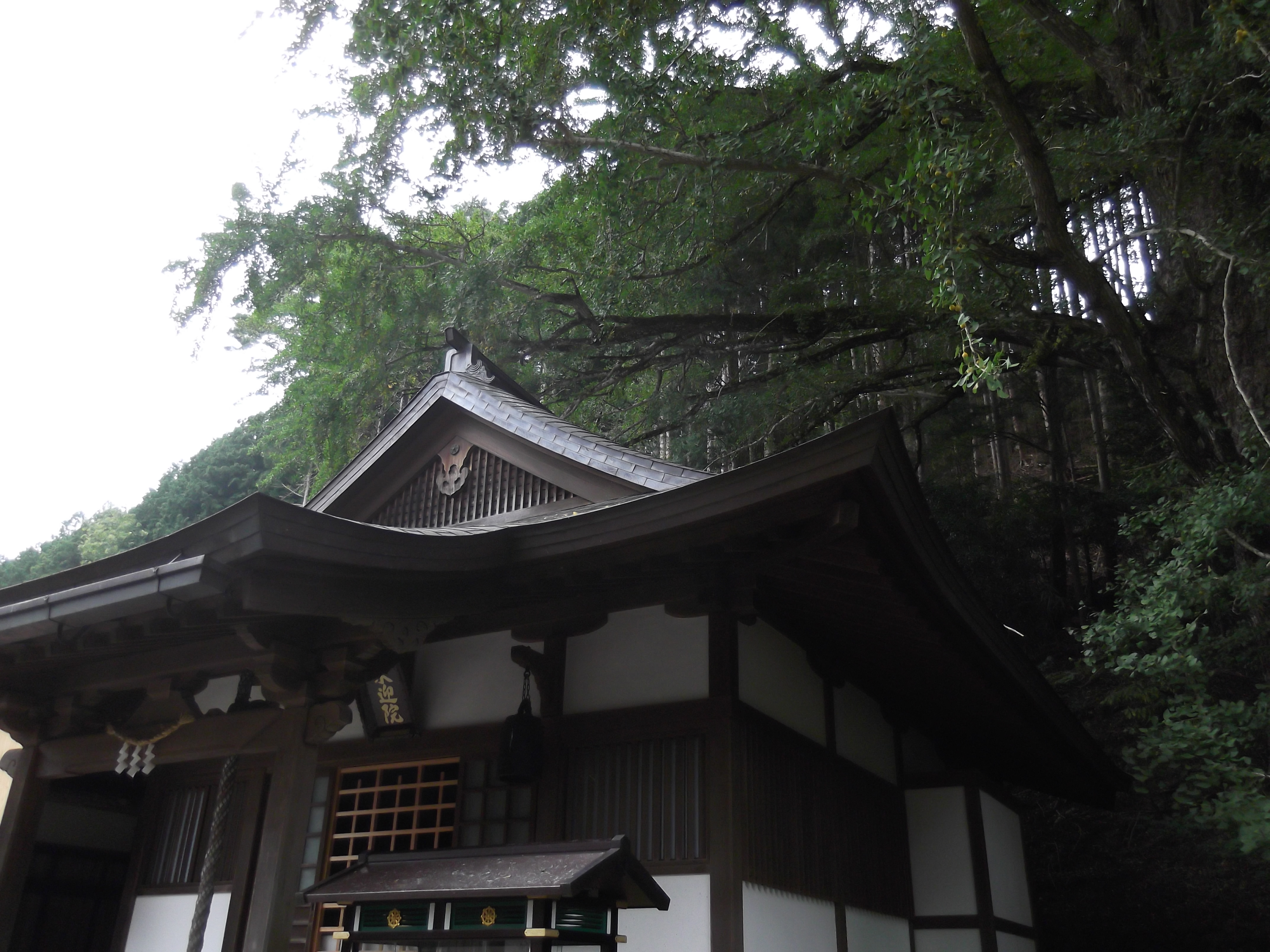 ふらっと旅 › [奈良]ぷらり天川・来迎院の大イチョウ