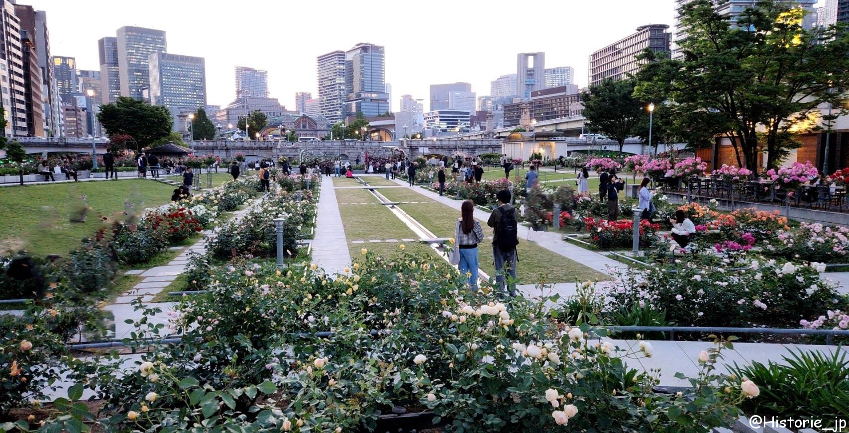 [大阪・中之島] 中之島公園・バラ園（１/２）都会のバラ園・春薔薇編・大阪中心部の憩いの空間で春バラに癒やされる