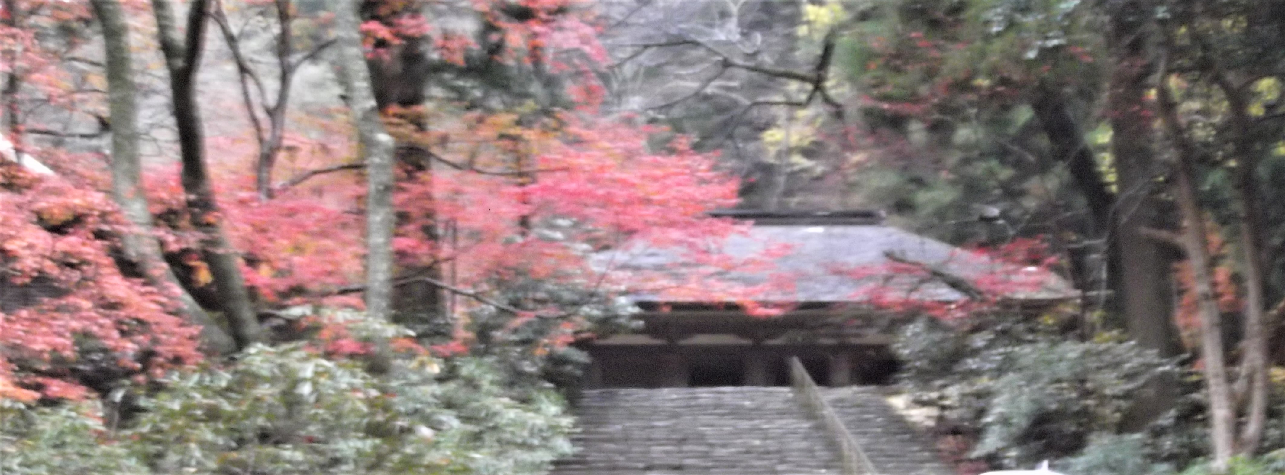 室生寺・鎧坂・金堂（国宝）・ぷらり歴史路