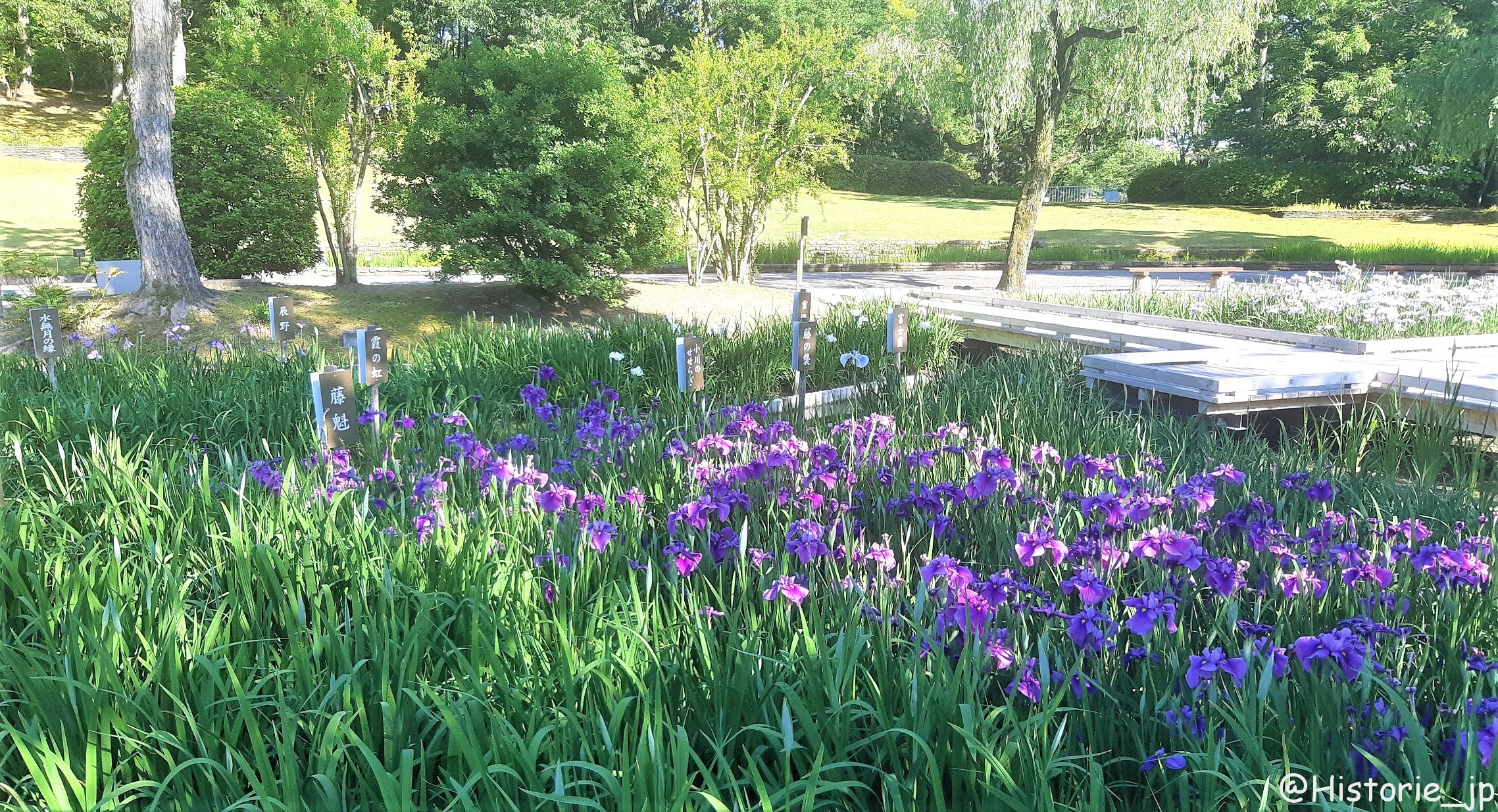 花しょうぶ田・現代庭園地区・日本庭園・万博記念公