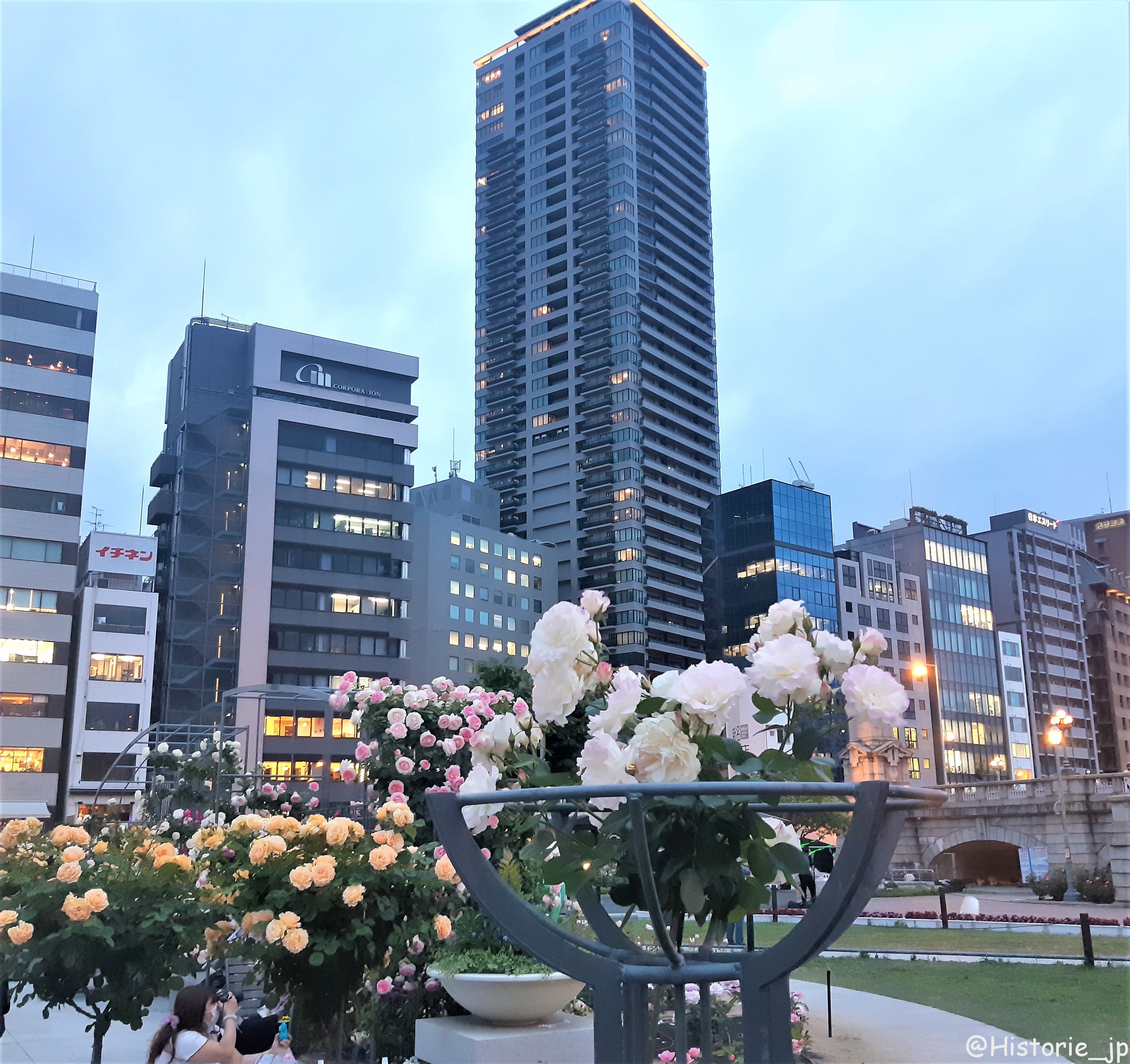 [大阪・中之島] 中之島公園・バラ園（１/２）都会のバラ園・春薔薇編・大阪中心部の憩いの空間で春バラに癒やされる