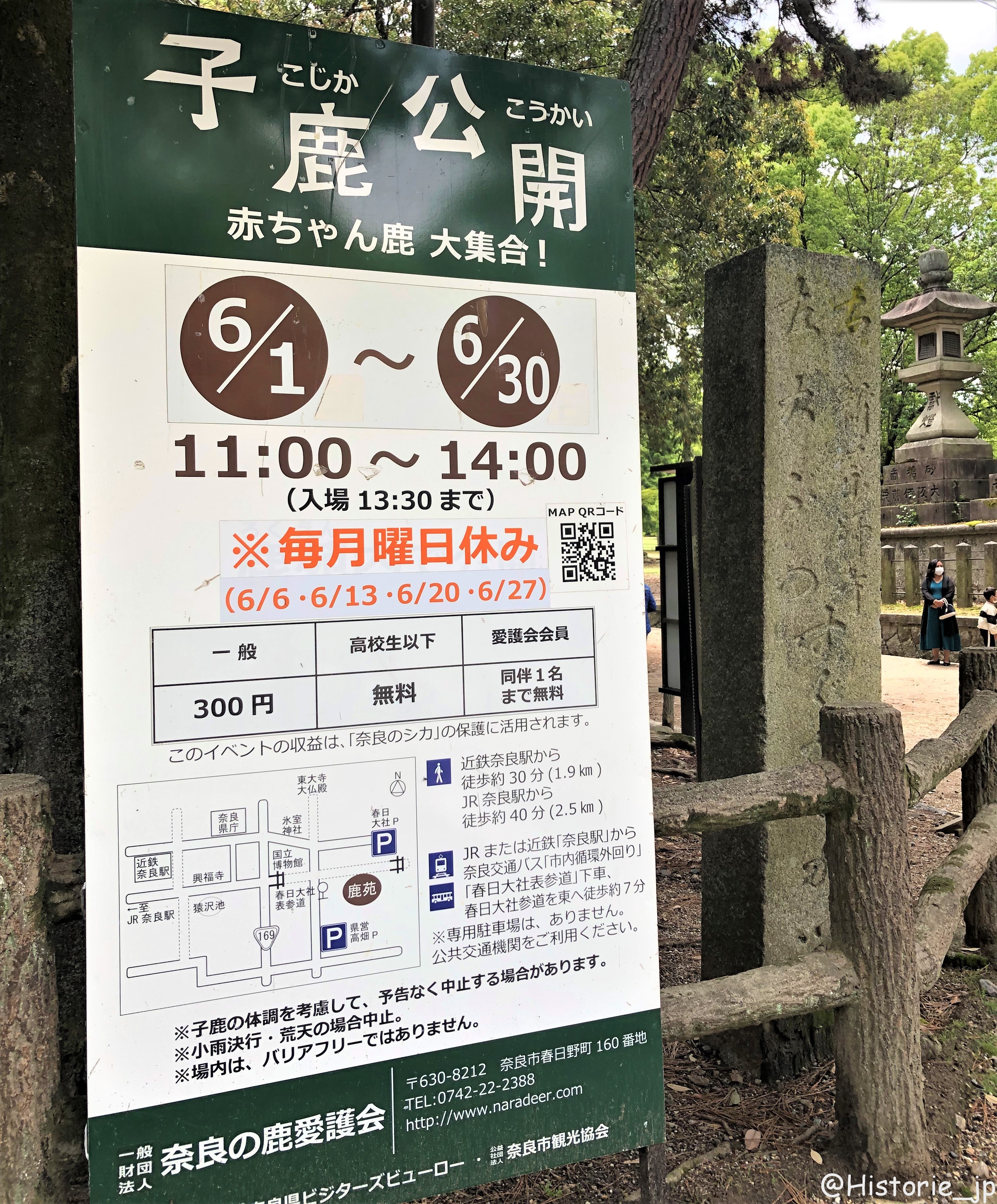 [奈良・奈良公園] 6/1(水) ～6/30(木)開催・特別公開 「子鹿公開 ～赤ちゃん鹿 大集合～」・於：鹿苑（ろくえん）子鹿公開会場(春日大社境内)・主催：奈良の鹿愛護会