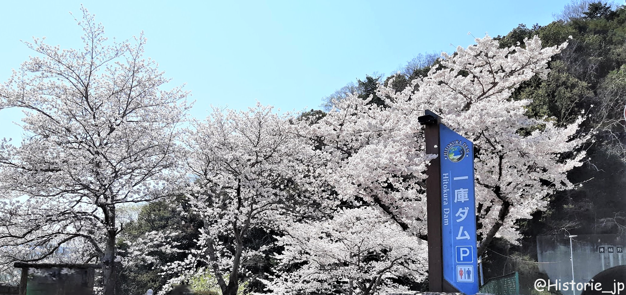 兵庫・川西 一庫ダム(ひとくらダム)と桜と2時の虹・ぷらり歴史路