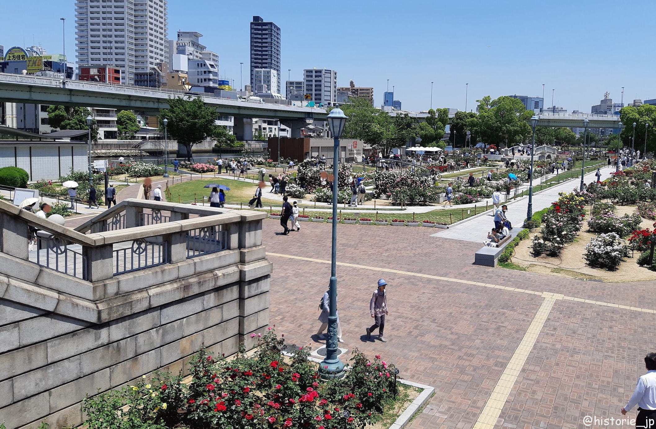 中之島公園・バラ園 で咲き誇るで咲き誇る春バラ・ステキな街角