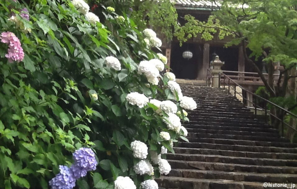 初瀬の長谷寺（はせでら）は花のお寺・紫陽花がきれい