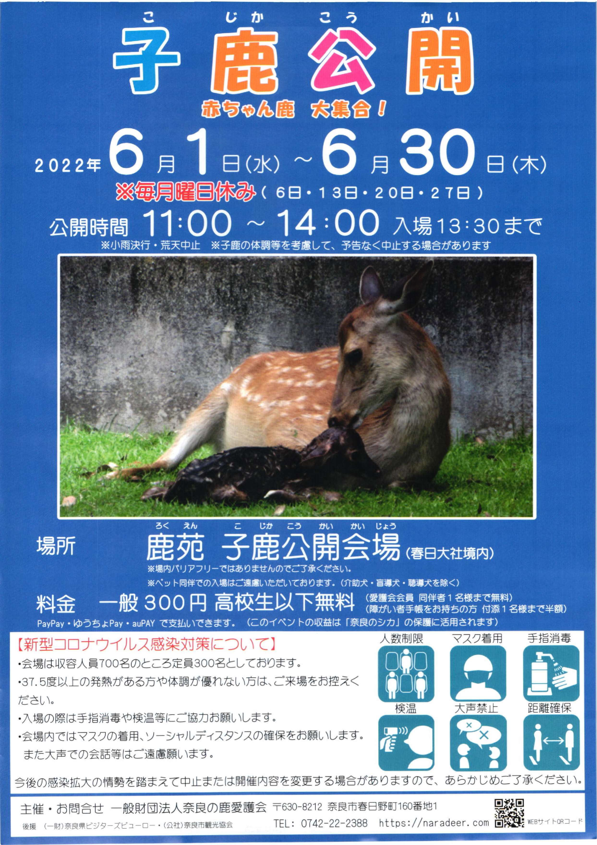 [奈良・奈良公園] 6/1(水) ～6/30(木)開催・特別公開 「子鹿公開 ～赤ちゃん鹿 大集合～」・於：鹿苑（ろくえん）子鹿公開会場(春日大社境内)・主催：奈良の鹿愛護会