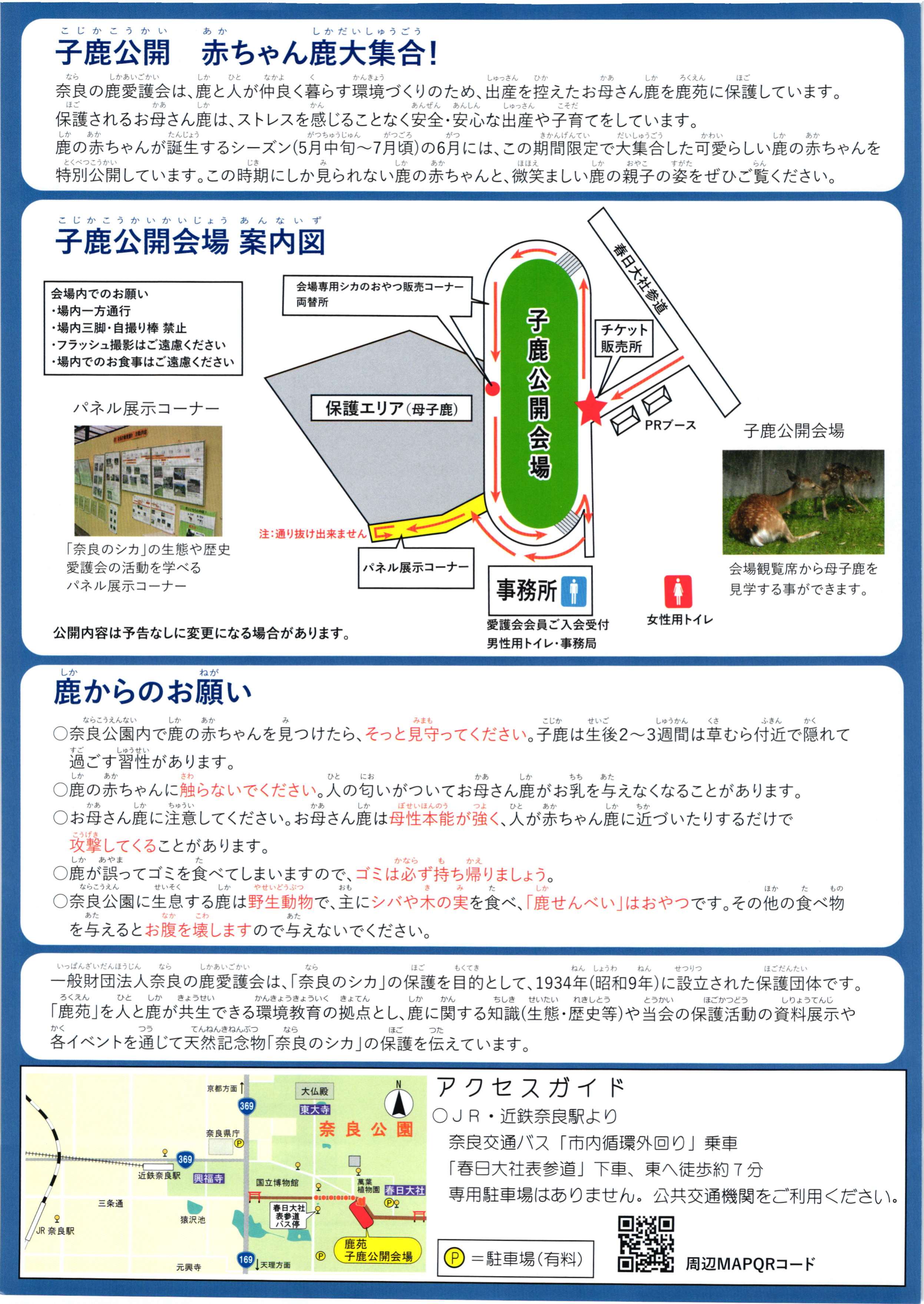 [奈良・奈良公園] 6/1(水) ～6/30(木)開催・特別公開 「子鹿公開 ～赤ちゃん鹿 大集合～」・於：鹿苑（ろくえん）子鹿公開会場(春日大社境内)・主催：奈良の鹿愛護会