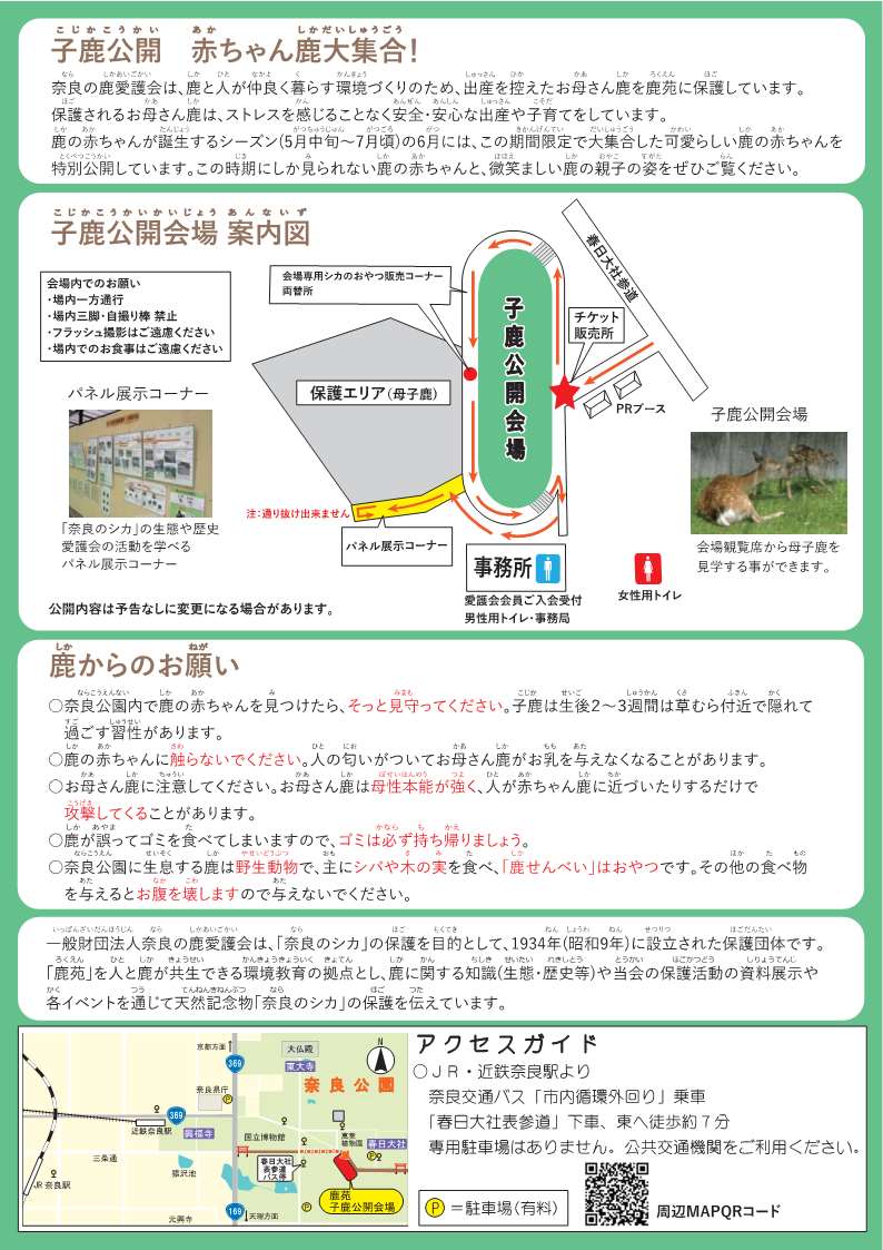 [奈良・奈良公園] 6/1(木) ～6/30(金)迄開催・特別公開 「子鹿公開 ～赤ちゃん鹿 大集合～」・於：鹿苑（ろくえん）子鹿公開会場(春日大社境内)・主催：奈良の鹿愛護会