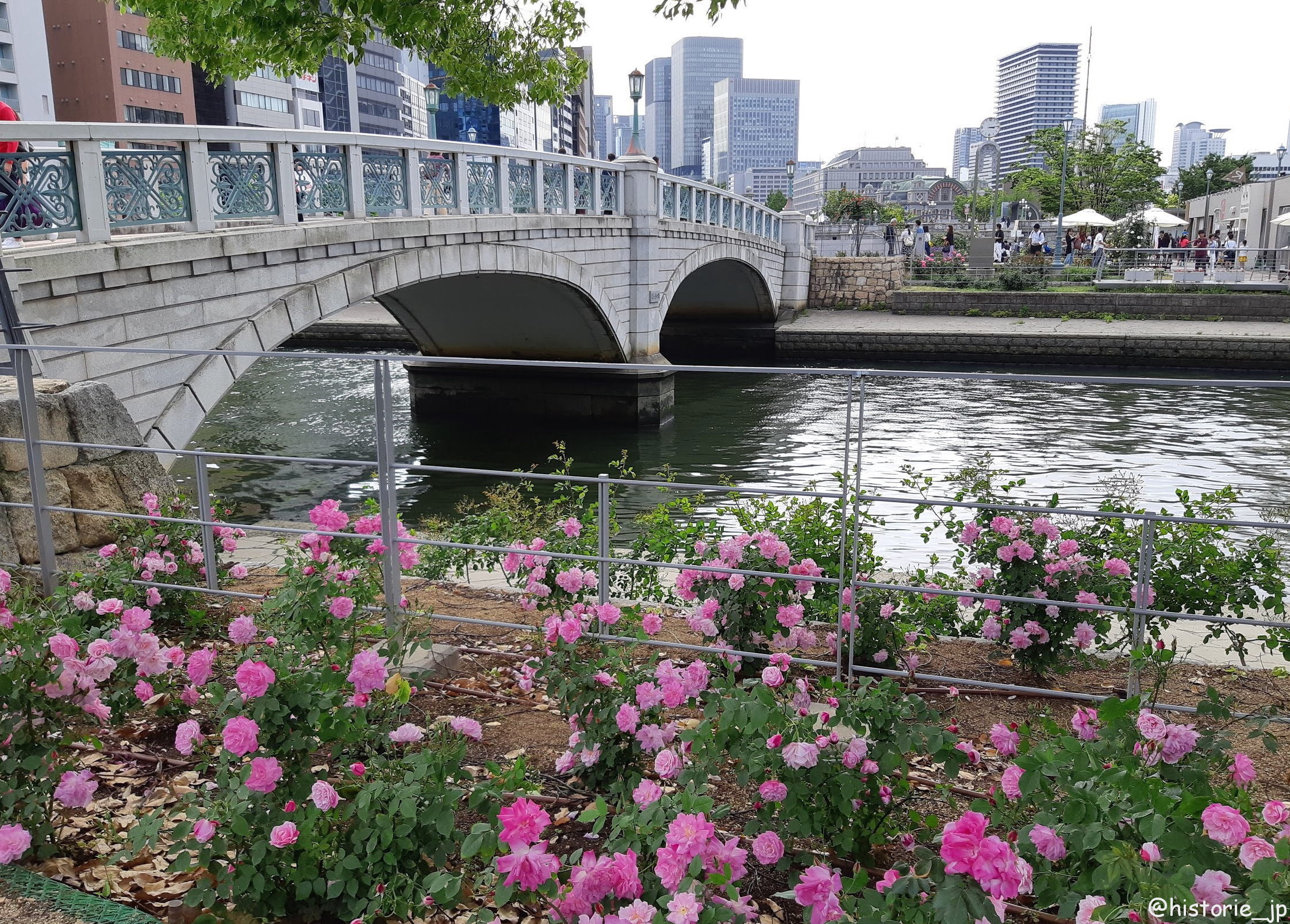 [大阪・中之島] 都会のバラ園・「バラの庭」、「バラの小みち」、「バラの広場」の3つのエリアで咲き誇る・中之島公園・バラ園