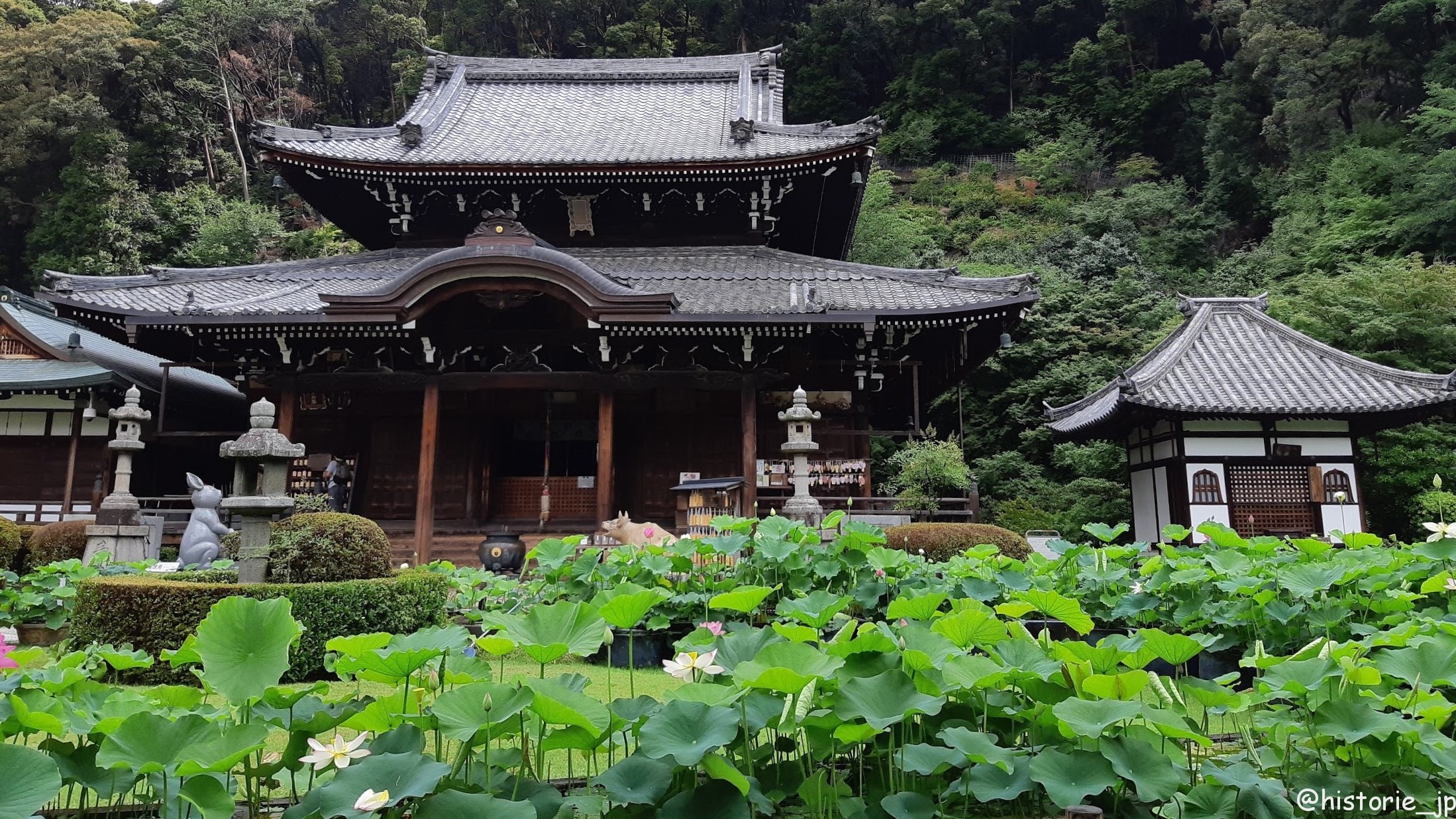 京都 宇治 三室戸寺のひそかな人気のスポット 勝運の牛 福徳の兎 金運の龍頭 ぷらり歴史路
