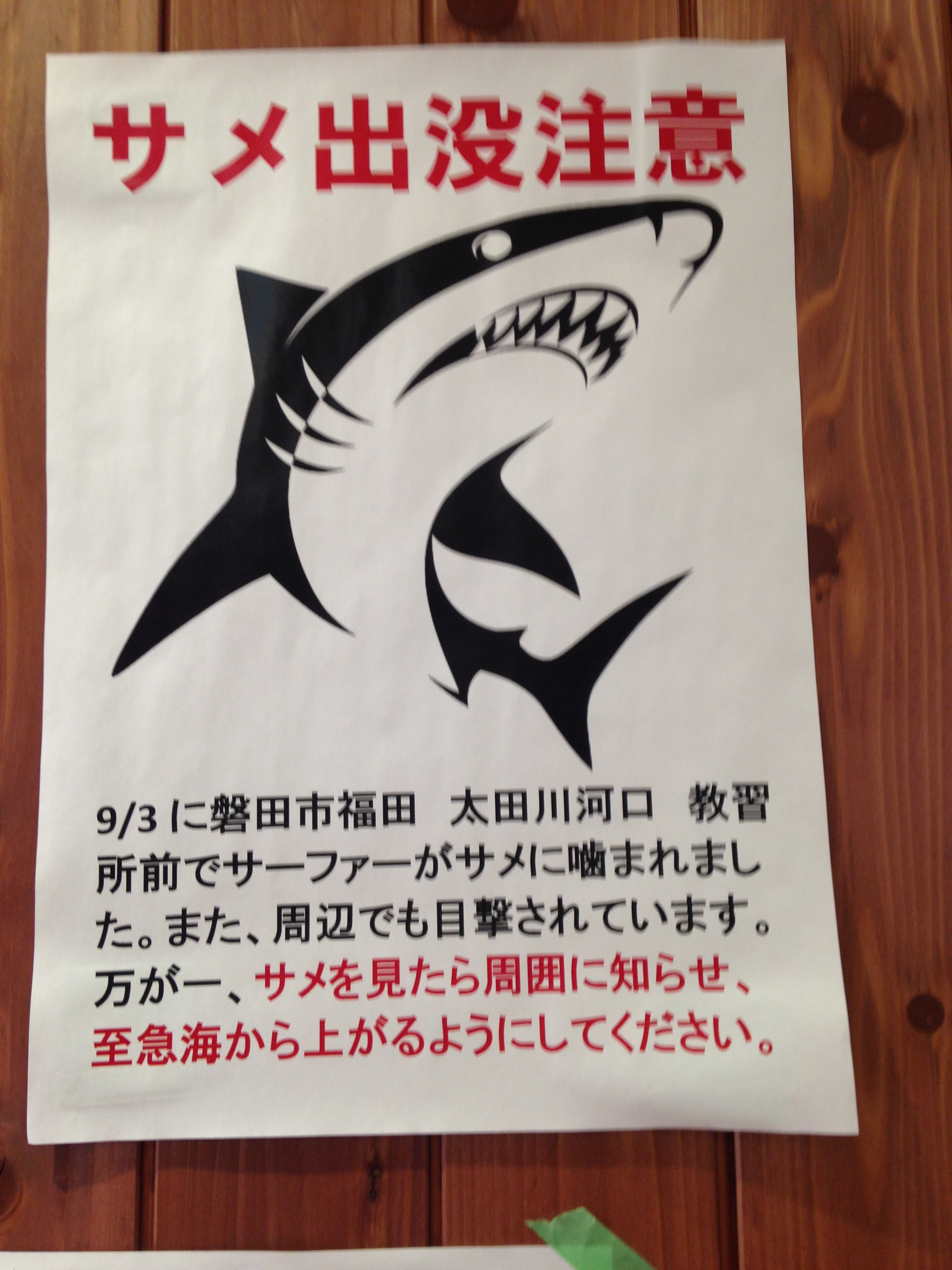 サメの出没での注意喚起