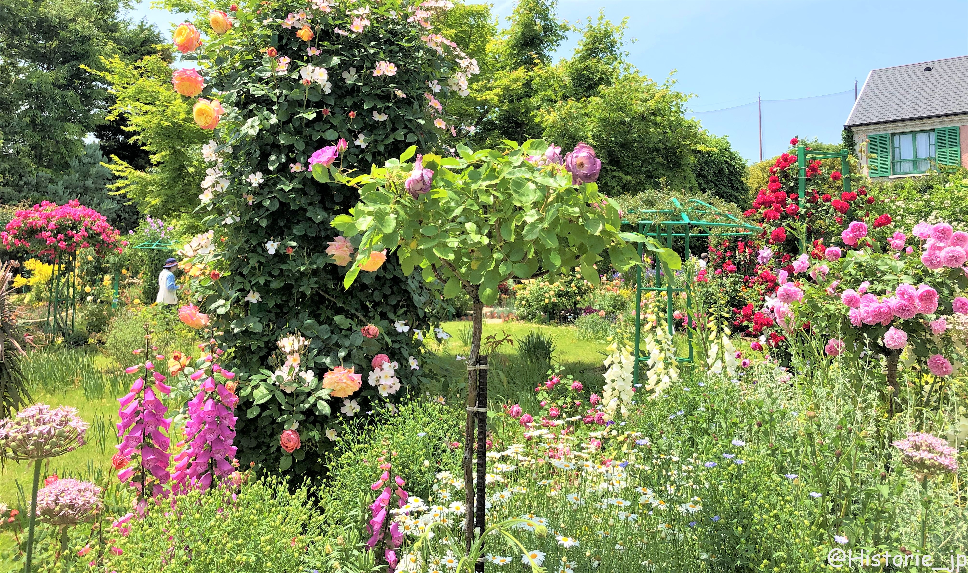  浜名湖ガーデンパーク（５）モネの庭・春編「彩づく春の庭とバラの大アーチ」