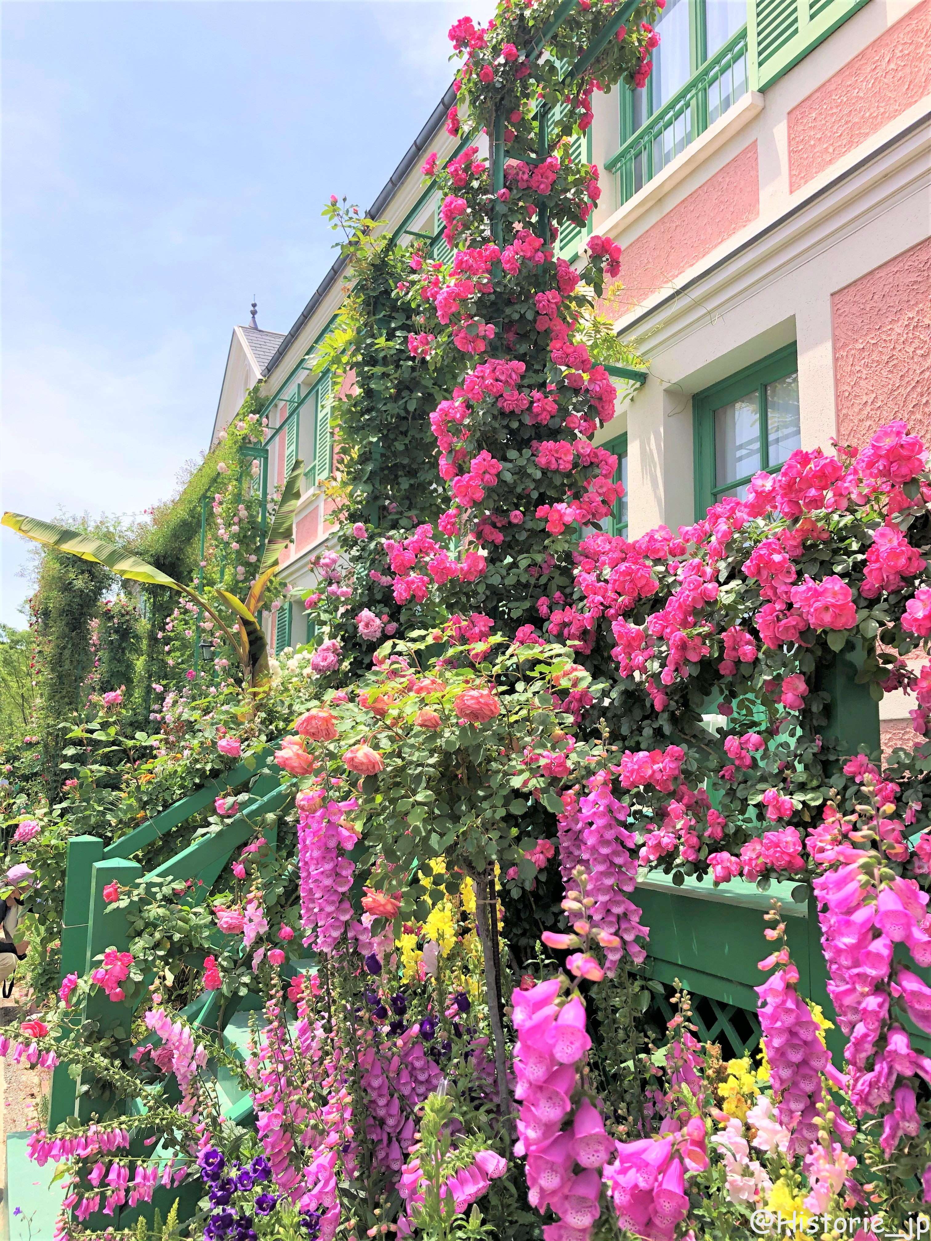 浜名湖ガーデンパーク（５）モネの庭・春編「彩づく春の庭とバラの大アーチ」