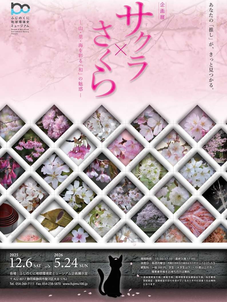 2025/12/6(土)～2026/5/24(日)迄開催・企画展「サクラ×さくらー山・里・海を彩る「和」の魅惑ー」・[静岡] ふじのくに地球環境史ミュージアム