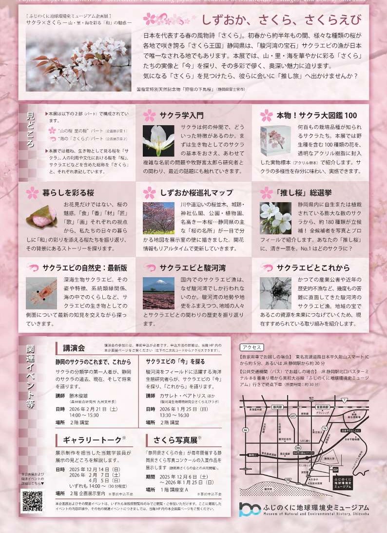 2025/12/6(土)～2026/5/24(日)迄開催・企画展「サクラ×さくらー山・里・海を彩る「和」の魅惑ー」・[静岡] ふじのくに地球環境史ミュージアム