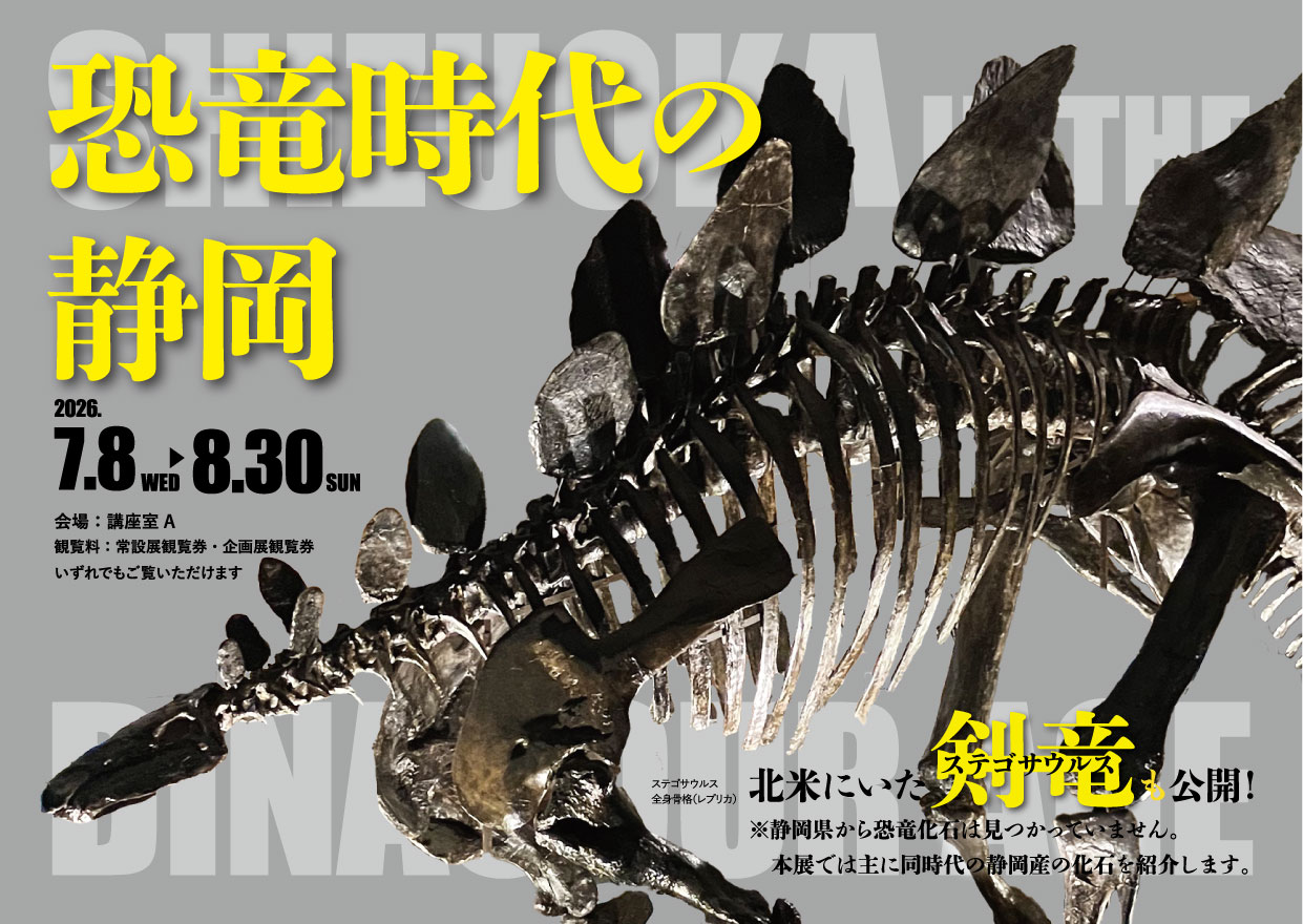 2026/7/8（水）～8/30（日）迄開催・ミドルヤード展「恐竜時代の静岡」